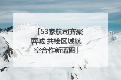 53家航司齐聚蓉城 共绘区域航空合作新蓝图