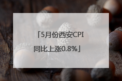 5月份西安CPI同比上涨0.8%