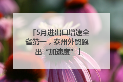 5月进出口增速全省第一，泰州外贸跑出“加速度”