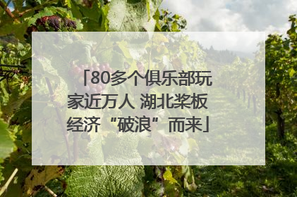 80多个俱乐部玩家近万人 湖北桨板经济“破浪”而来