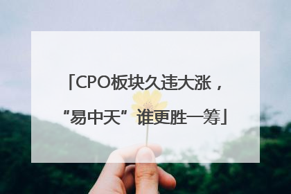 CPO板块久违大涨，“易中天”谁更胜一筹