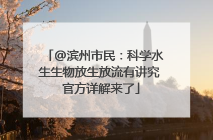 @滨州市民：科学水生生物放生放流有讲究 官方详解来了