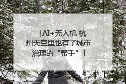 AI+无人机 杭州天空里也有了城市治理的“帮手”