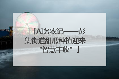 AI务农记——彭集街道甜瓜种植迎来“智慧丰收”