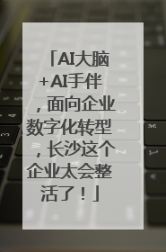 AI大脑+AI手伴，面向企业数字化转型，长沙这个企业太会整活了！