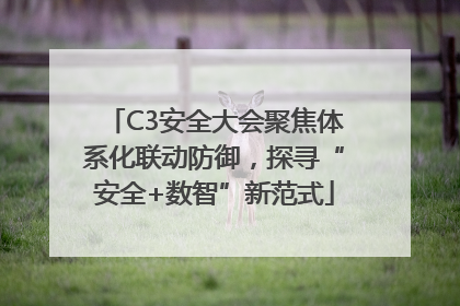 C3安全大会聚焦体系化联动防御，探寻“安全+数智”新范式