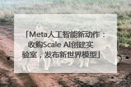 Meta人工智能新动作：收购Scale AI创建实验室，发布新世界模型