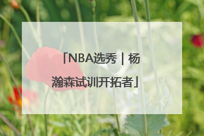 NBA选秀｜杨瀚森试训开拓者