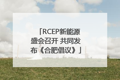 RCEP新能源盛会召开 共同发布《合肥倡议》